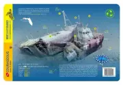 Courageous Wreck Florida Panhandle Reef Smart Waterproof Dive Card