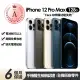 【Apple】A級福利品 iPhone 12 Pro Max 128G 6.7吋(Face ID功能失效+贈充電組+殼貼)