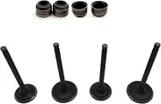 Intake and Exhaust Valve Kit Compatible with Hisun HS 500CC ATV UTV HS Code 14721-002000-0000 ERP Code P002000147110000 P002000147210000