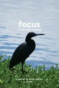 在飛比找博客來優惠-Focus on the right moment: a j