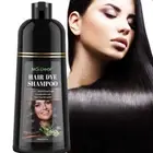 500ML 2 in 1 Beard Hair Color Dye Shampoo Natural Dying Black Darkening Shampoo