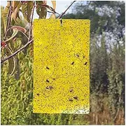 20PCS Yellow Sticky fruit fly flying Insect Garden Trap glue on double sided no mess 20 * 25CM