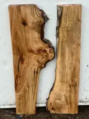 F4 Maple Burl Live Edge Slab 24x12x1 Curly Birds Eye DIY Epoxy River Table 8%mc