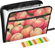 Cute Cartoon Fruit Peach Accordion Folder 13 Pockets A4 Letter Size Hanging File Folder with Zipper Closure Document File Folder for Office