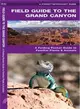 Field Guide to the Grand Canyon ─ A Folding Pocket Guide to Familiar Plants and Animals