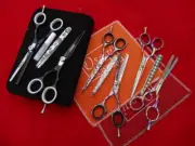 Choose Color_2 x 5.5" Hairdressing & Hair Thinning Scissors FREE Case,Tweezers