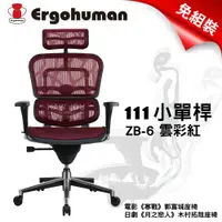 在飛比找蝦皮購物優惠-預定品【豪優】Ergohuman 111小單桿人體工學透氣網