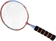 Parliky Badminton Racket Outdoor Shuttlecocks Badminton Badminton Sports Outdoor for Blue