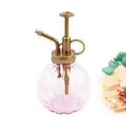 Vintage Spritzer Bottle Plant Spray Bottle Plant Mister Succulent Mister