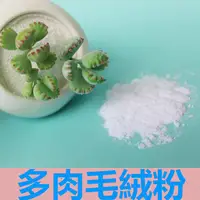 在飛比找蝦皮購物優惠-臺灣現貨 樹脂粘土冷瓷土麵包土專用多肉毛絨粉散裝10g 20