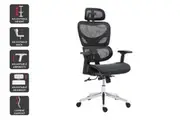 Ergolux EZ11 Ergonomic Mesh Office Chair (Black)
