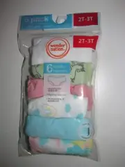 Toddler Girls Hipster Briefs 6 PACK (Size 2T-3T) BRAND NEW IN PACKAGE