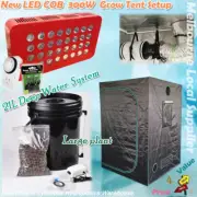 Hydroponic 1x1x2M Grow Tent Setup LED COB 300W 21L DWC System 6" Ventilation Kit