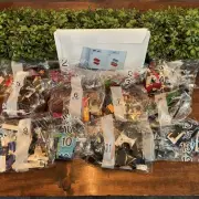 Lego 43227 Disney 100th Anniversary Villain Icons New Fast Shipping New - NO BOX