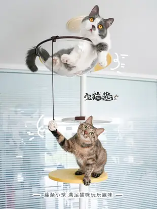 豪華多層貓跳台通天柱貓樹太空艙貓跳台 (8.3折)