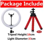 10 inch LED Selfie Ring Light Phone Stand Photo Fill Lamp with Mini Tripod