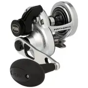 PENN International FATHOM II 25NLD Baitcasting Reel