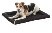 Quite Time Maxx Water Repellent Pet Bed Small Fits 24 in Crate 40524-BK