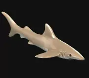 Realistic Beautifully Detailed Hand Painted Shark PVC Figure