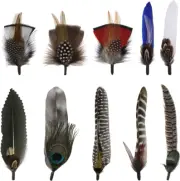 Hat Feathers, Assorted Natural Colorful Feather Accessories for Top Hats, Fedora