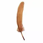 Goose Pointer Feathers 10 grams - Latte