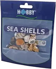 Hobby Crab Shells Set - 20 Natural Multicolor Shells - Aquarium Decor - Ideal for Crab & Terrarium Decoration