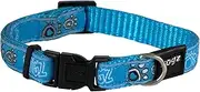 Rogz Fancy Dog Collar, Turquoise, Medium