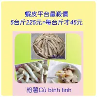 在飛比找蝦皮購物優惠-葛鬱金粉薯/Củ khoai dong/最低價40元/5吋盆