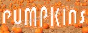 3'x8' PUMPKINS BANNER Outdoor Sign LARGE Fall Harvest Farm Stand Patch Halloween