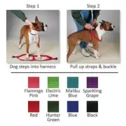 2 Step Nylon Dog Walking Easy Harness Selections - 8 Colors & 3 Sizes to Choose