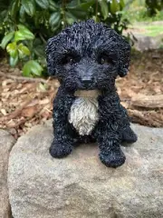 CAVOODLE STATUE BLACK WHITE PUPPY DOG ANIMAL GARDEN ORNAMENT SCULPTURE