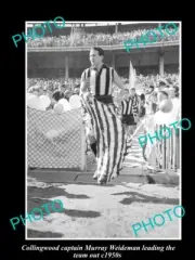 OLD LARGE HISTORICAL PHOTO OF COLLINGWOOD FC CAPTAIN MURRAY WEIDEMAN c1950s