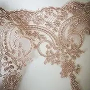 Lace Ribbon，Lace Trim， lace Ribbon Vintage Embroidery Lace Trims, 9.8" Wide Lace Trimmings, 1 Yard Mesh Fabric for Wedding Dress DIY Accessories(Khaki)