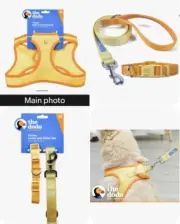 Dog Step-in Harness, Dog Collar & Leash Set. yellow orange Breathable Mesh SZ M