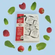 Aunt Martha's Fanciful Fruit Embroidery/Painting Transfer Pattern #3749