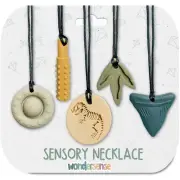 Chew Necklaces for Sensory Kids | Calm Colors 5PCS Chewy Necklace Sensory | Prem
