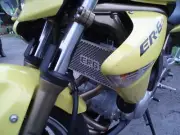 Radiator Guard ER6 ER650 EX650 (05-06) by Beowulf in Stainless Steel K017A