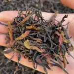 大雪山野生茶：1000G（高品質）/可能好多茶友都還沒接觸過純野生的生茶