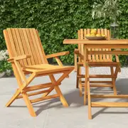 vidaXL Folding Garden Chairs 2 pcs 61x67x90 cm Solid Wood Teak