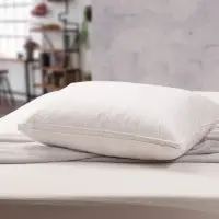 在飛比找momo購物網優惠-【Anson】純棉立體邊羽絨枕