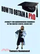 How to Obtain a PHD (Penalty for Hardworking Dummies) in the United States ─ Inside Out