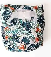 Monarch Ultimate Wipeable Cloth Nappy with Hook and Loop Closure, Fern Down for What