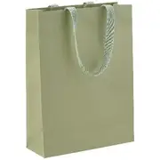 J.Burrows Premium Kraft Bags Medium Green 12 Pack