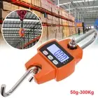 Mini Portable Digital Electronic Weight Crane Scale 300kg Hook Heavy Duty LED