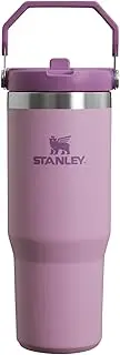 Stanley IceFlow Flip Straw Tumbler with Handle 30 oz | Twist On Lid and Flip Up Straw | Leak Resistant Water Bottle | Insulated Stainless Steel | BPA-Free | Lilac