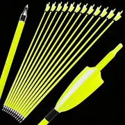 ZSHJGJR 30inch Archery Carbon Arrows Fluorescent Targeting Practice Hunting Arrows with Removable Tip 3”Turkey Feather Spine 500 for Compound & Recurve &Traditional Bow 6/12pcs