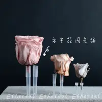 在飛比找蝦皮購物優惠-Ethereal flower 永生花 花泥插 固定器DIY