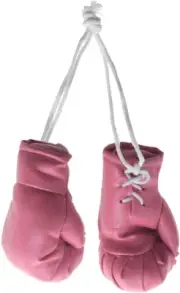 Mini Boxing Gloves - Decorative Miniature Accessories for Home or Party Decor