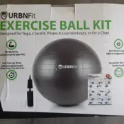 URBNFit Exercise Ball (65cm) Stability & Yoga, Workout Guide, Professional Pink