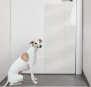 PROTECTO Door Protector from Dog Scratching 35.5"x15" Anti-Scratch Guard Wall